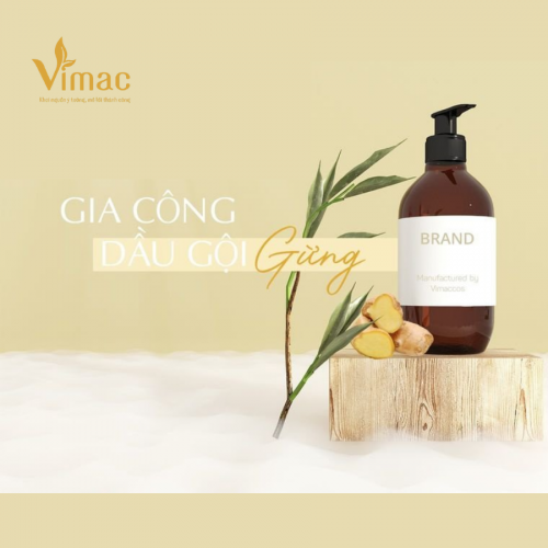 Gia công dầu gội gừng ngăn ngừa rụng tóc, an toàn tuyệt đối với người tiêu dùng