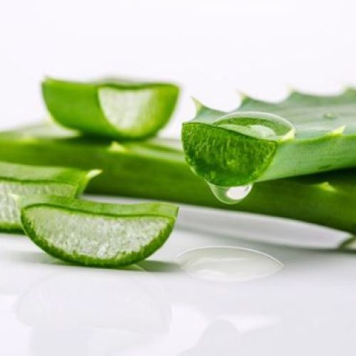 Aloe vera Extract in Beauty and Skincare