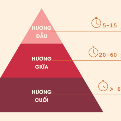 WHAT ARE FRAGRANCE NOTES? UNDERSTANDING THE FRAGRANCE LAYERS IN PERFUMES