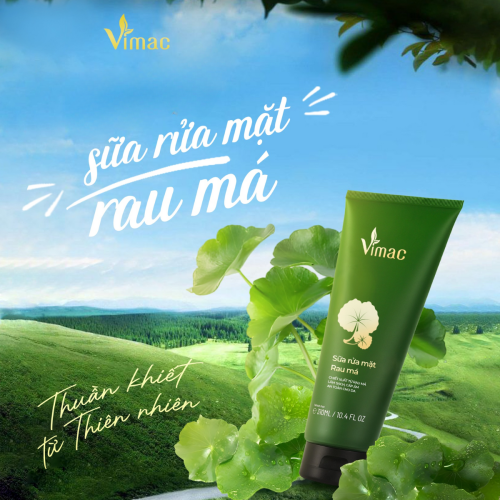 Các tác dụng của rau má đối với sức khỏe 