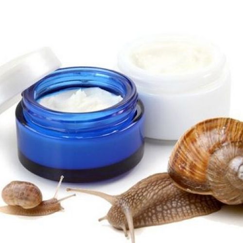 The Benefits of Snail Essence in Beauty and Skincare