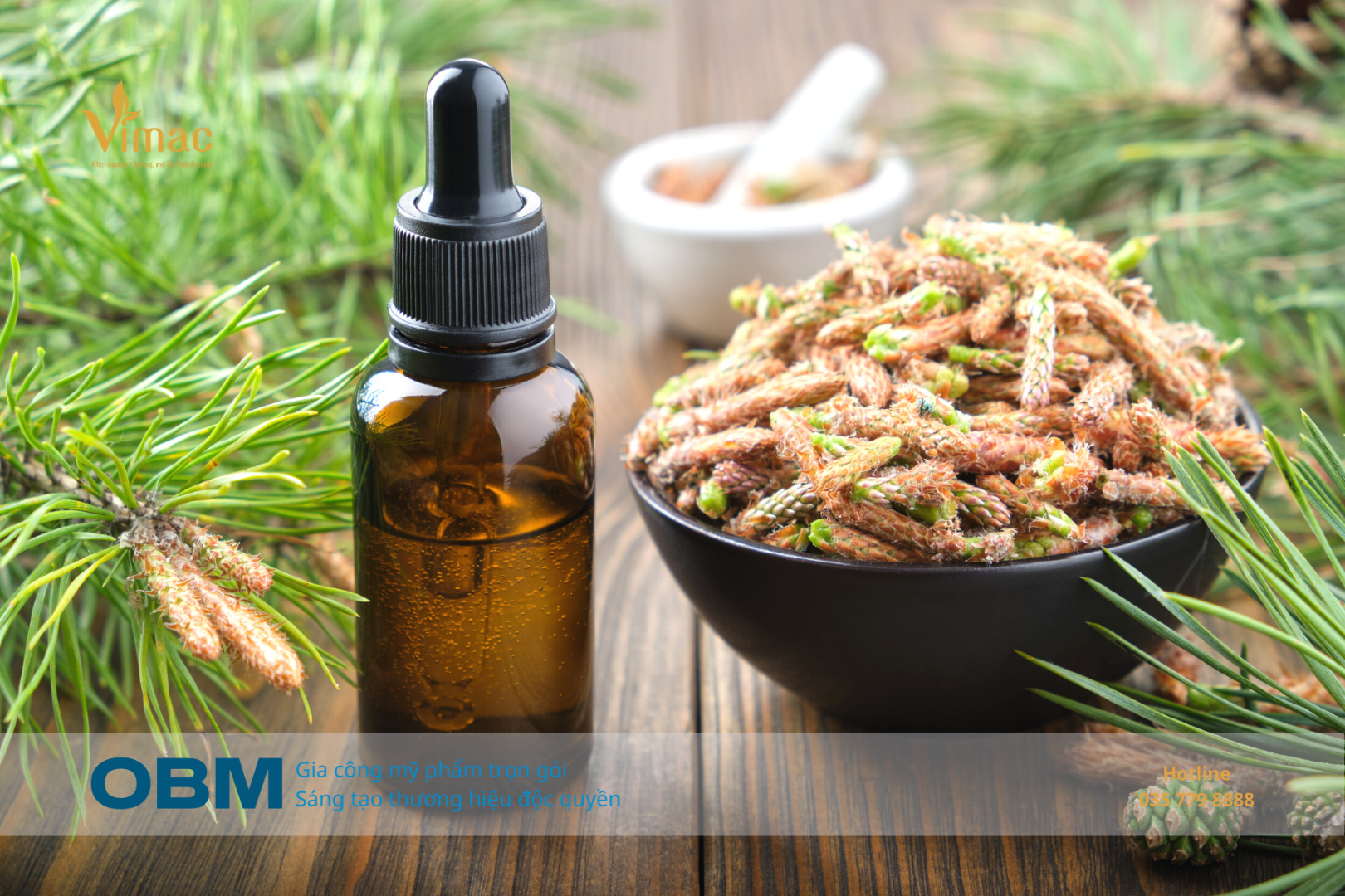 Gia công Serum nám thông đỏ