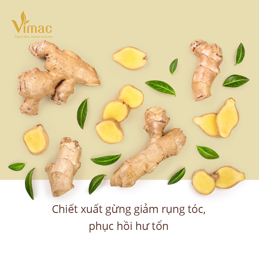 Gia công dầu gội gừng