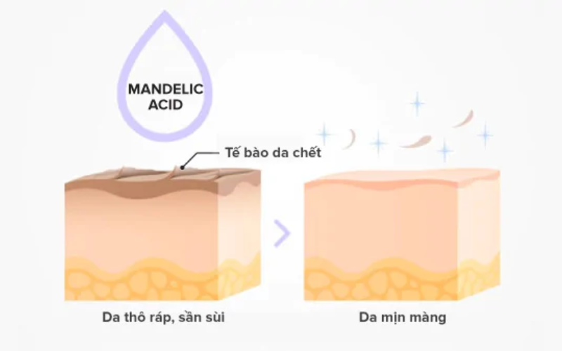 cong-dung mandelic-acid