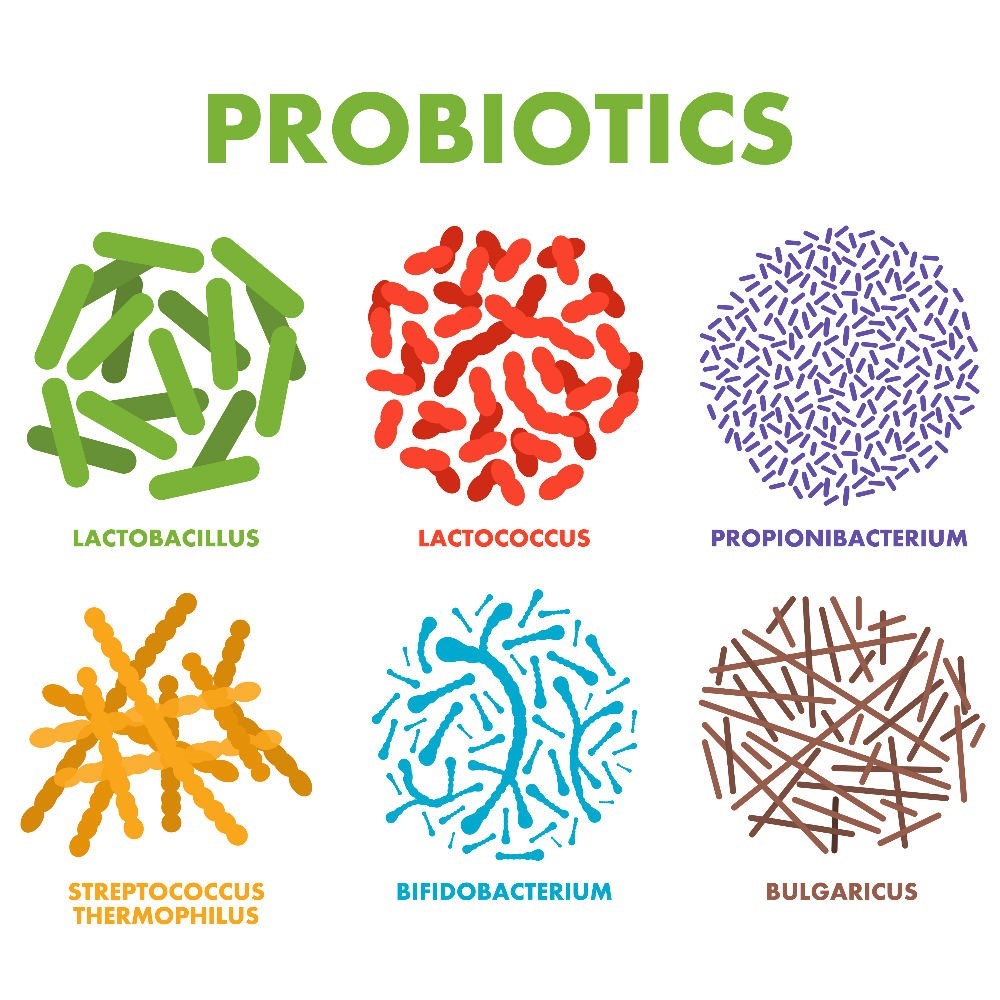 4685928_probiotics1