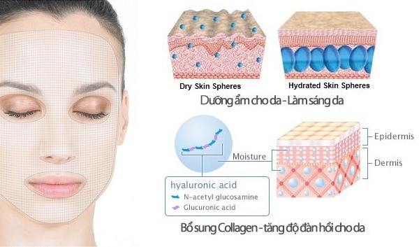co-nen-uong-collagen-nhu-the-nao