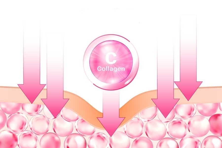 collagen-2-171560511471318094226