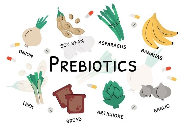 prebiotic-la-gi